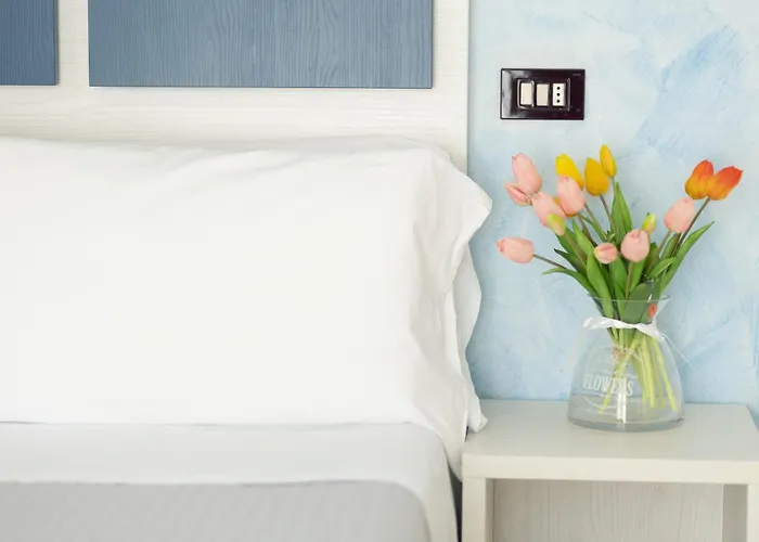 Capitol 3* 미사노아드리아티코