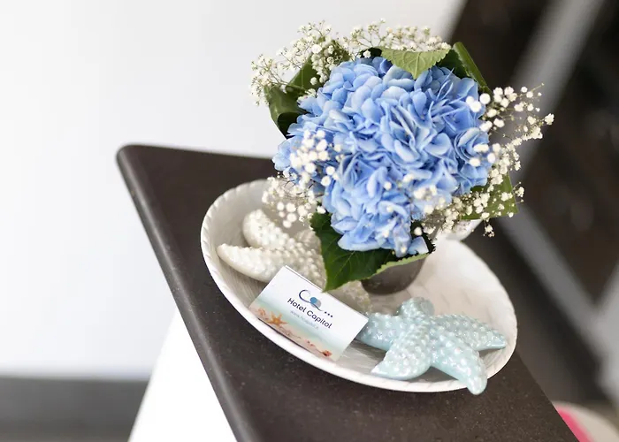 Capitol 3* 미사노아드리아티코