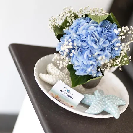 Capitol 3* מיסאנו אדריאטיקו